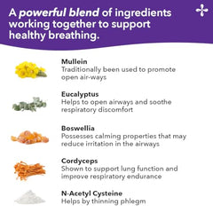 LifeSeasons Lung Capaci-T ingredient panel featuring CoQ10, NAC, green tea and nettle.