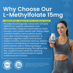 LifeStrength L-Methylfolate capsules inside pack for everyday supplementation.