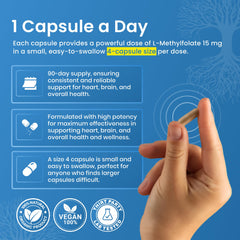 LifeStrength capsules in daily-use scene emphasizing convenience.