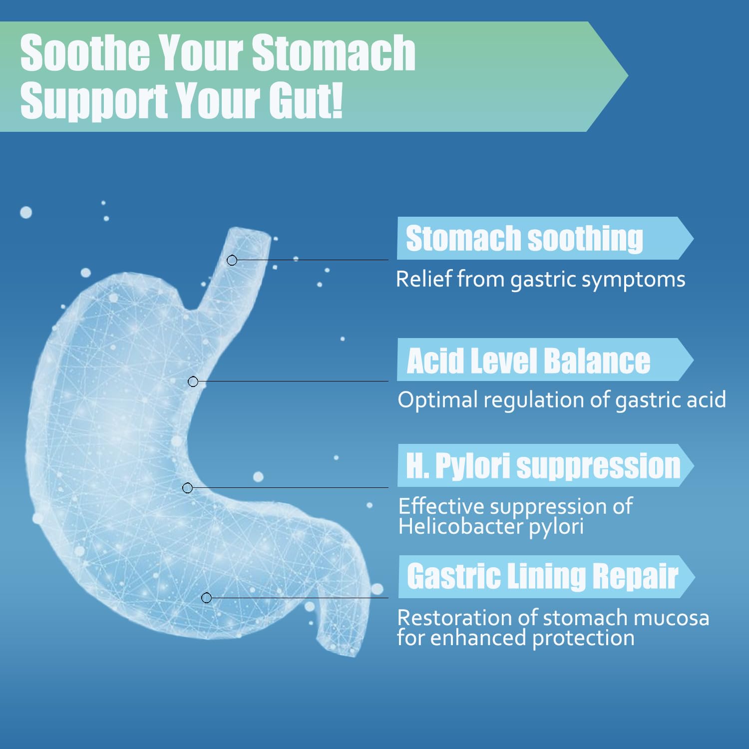 LIISKYY non-GMO organic label indicates clean stomach support