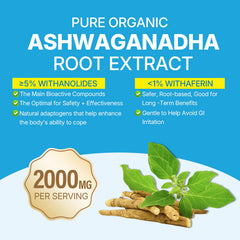 LILICARE Ashwagandha Gummies ingredients panel features D3, B12, and turmeric