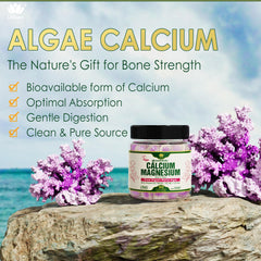 LILICARE calcium gummies serving plate illustrates convenient daily dose on the go