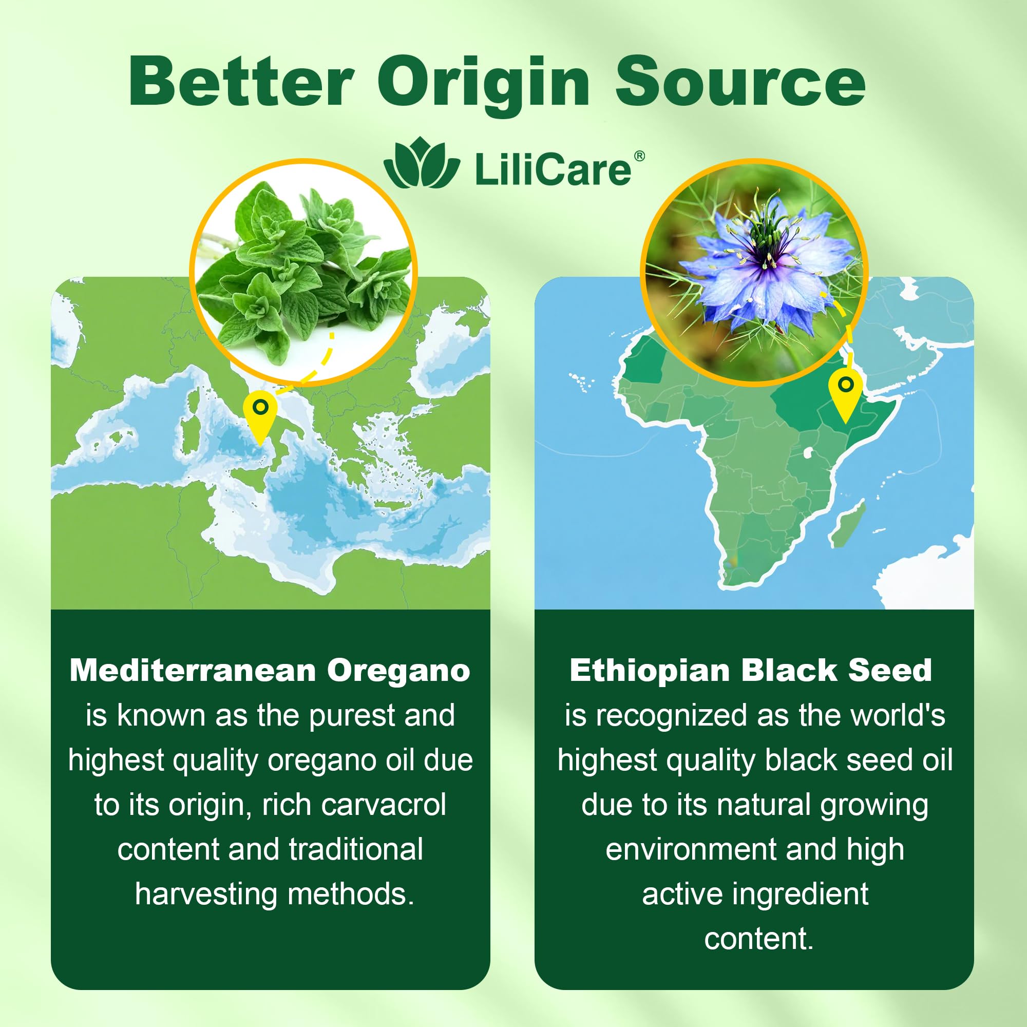 LILICARE Ethiopian black seed oil bottle highlights high active ingredient content.