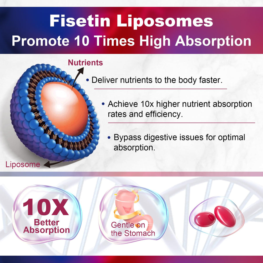LILICARE Fisetin liposomal delivery illustration indicating improved absorption