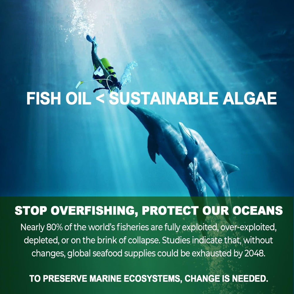 LILICARE omega-3 gummies align with plant-based diets and sustainable sourcing.