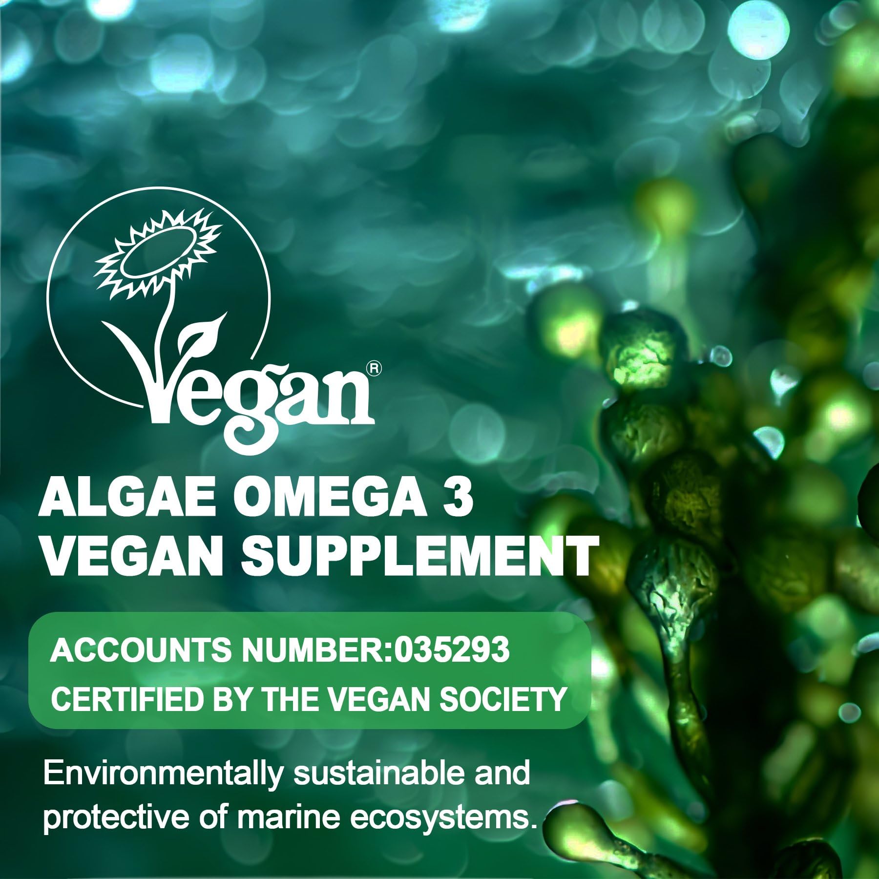 Sugar-free vegan Omega-3 gummies for daily use