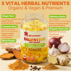 LILICARE turmeric-ginger gummies highlighting antioxidant blend.