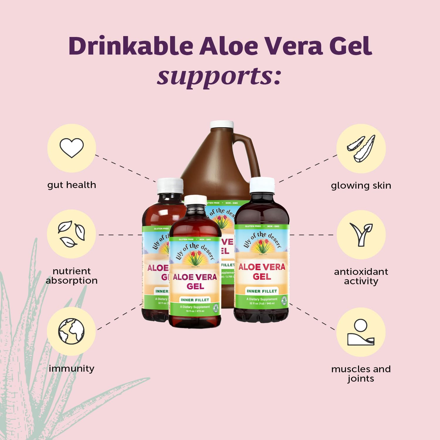 Lily Of The Desert Aloe inner fillet label highlights Aloesorb benefits.
