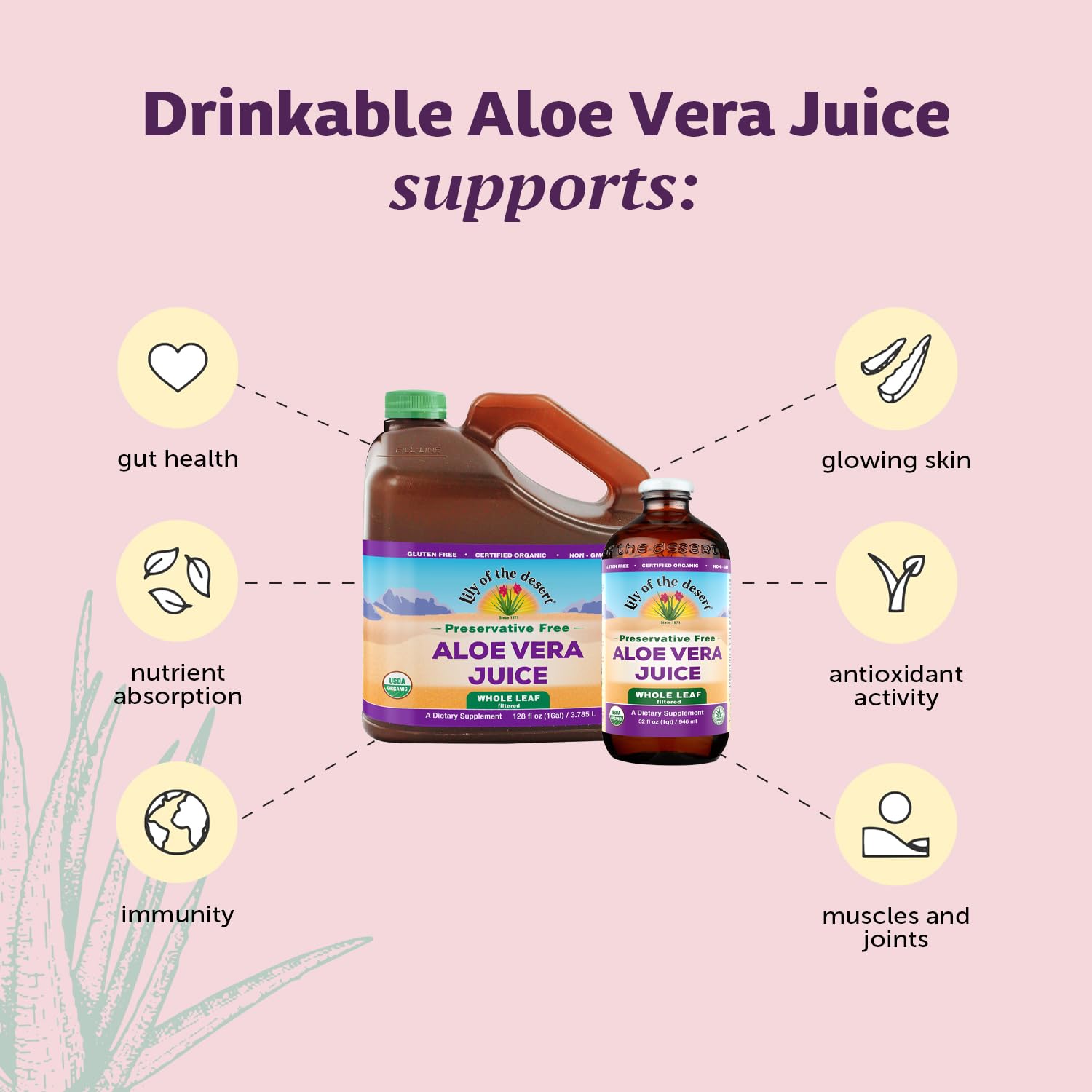 Lily of the Desert aloe juice pour into a glass with ice for a refreshing daily ritual.