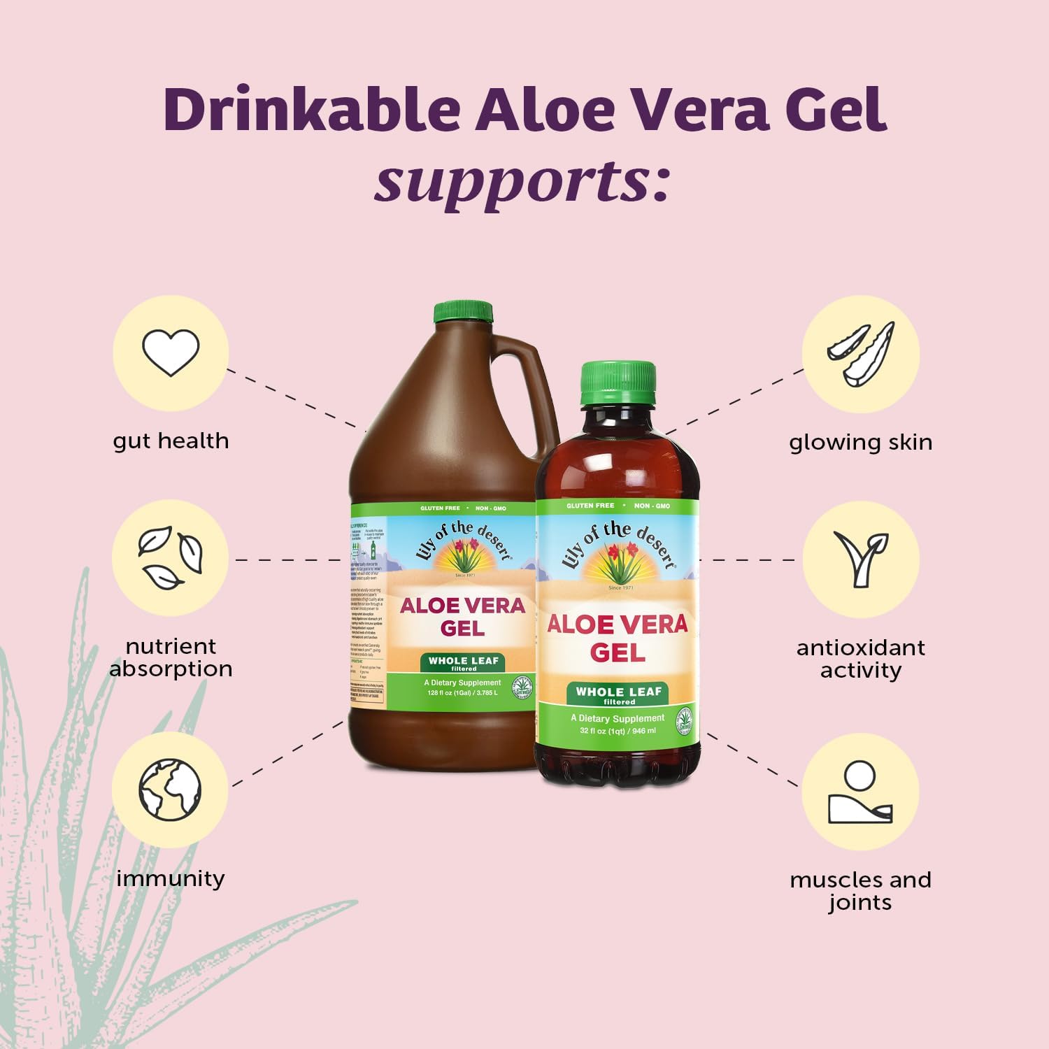 Aloesorb label close-up on Lily Of The Desert Aloe Gel