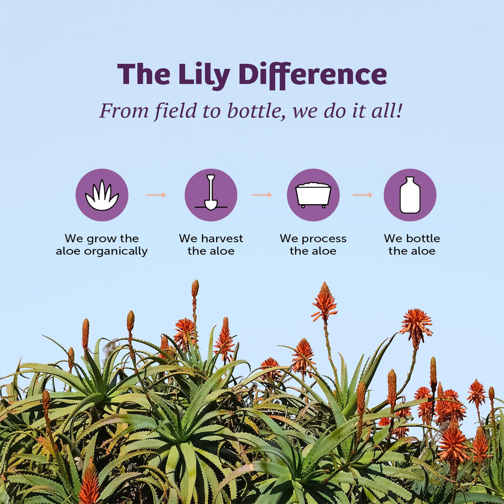 Lily of the Desert wellness glow aloe juice suggesting radiant skin benefits