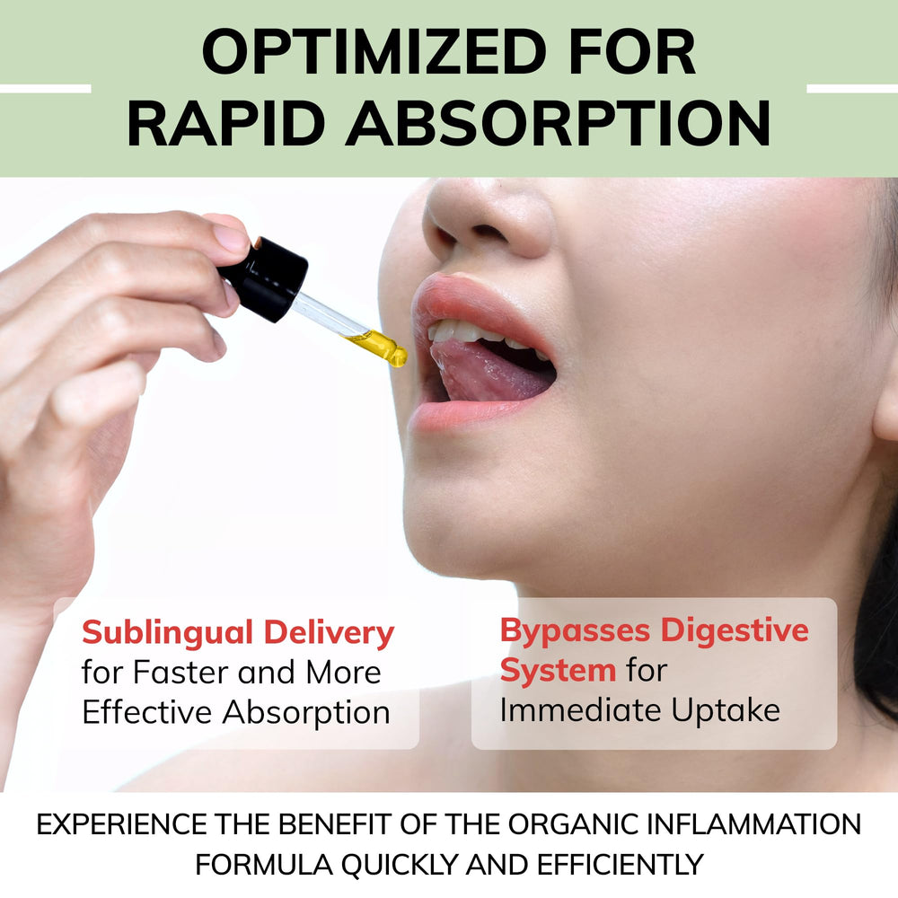 Limelight Herbals absorption graph demonstrates high bioavailability with black pepper.