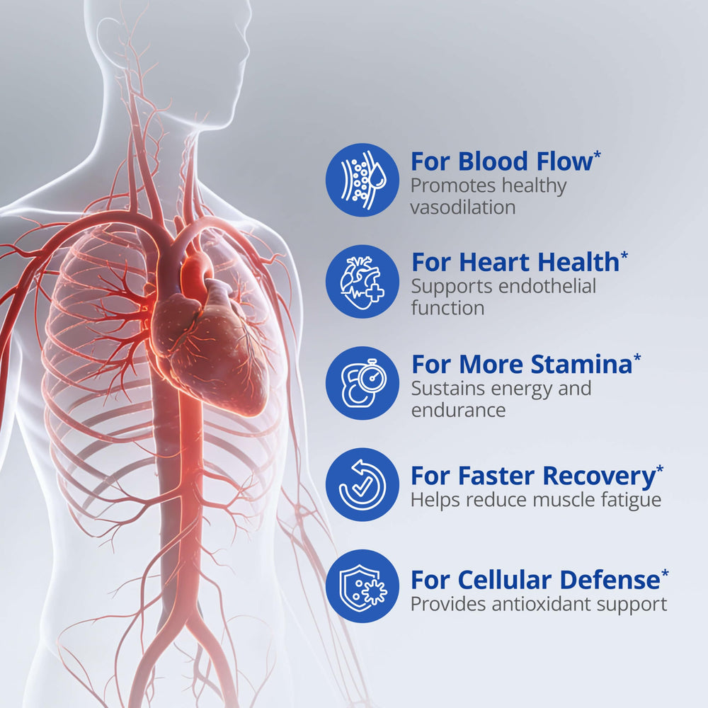 LincNutri arginine-l-citrulline capsules illustrate essential amino acids for vascular support