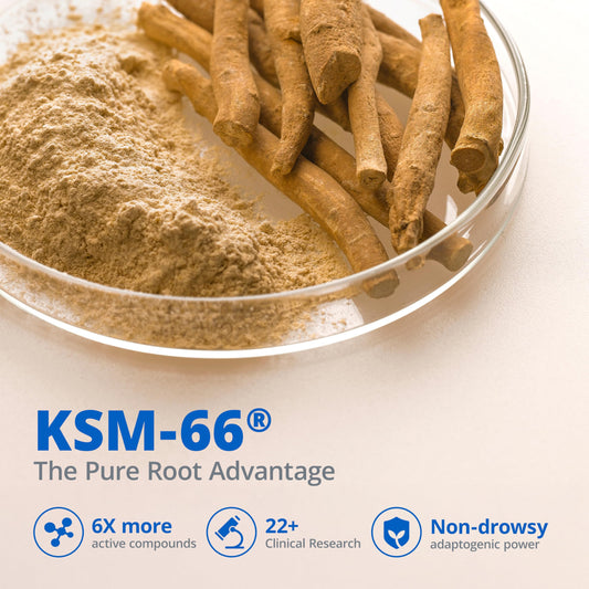 LincNutri Ashwagandha capsules close-up for calm mood support