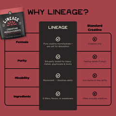 Lineage Provisions micronized creatine close-up emphasizes fine powder for fast solubility.