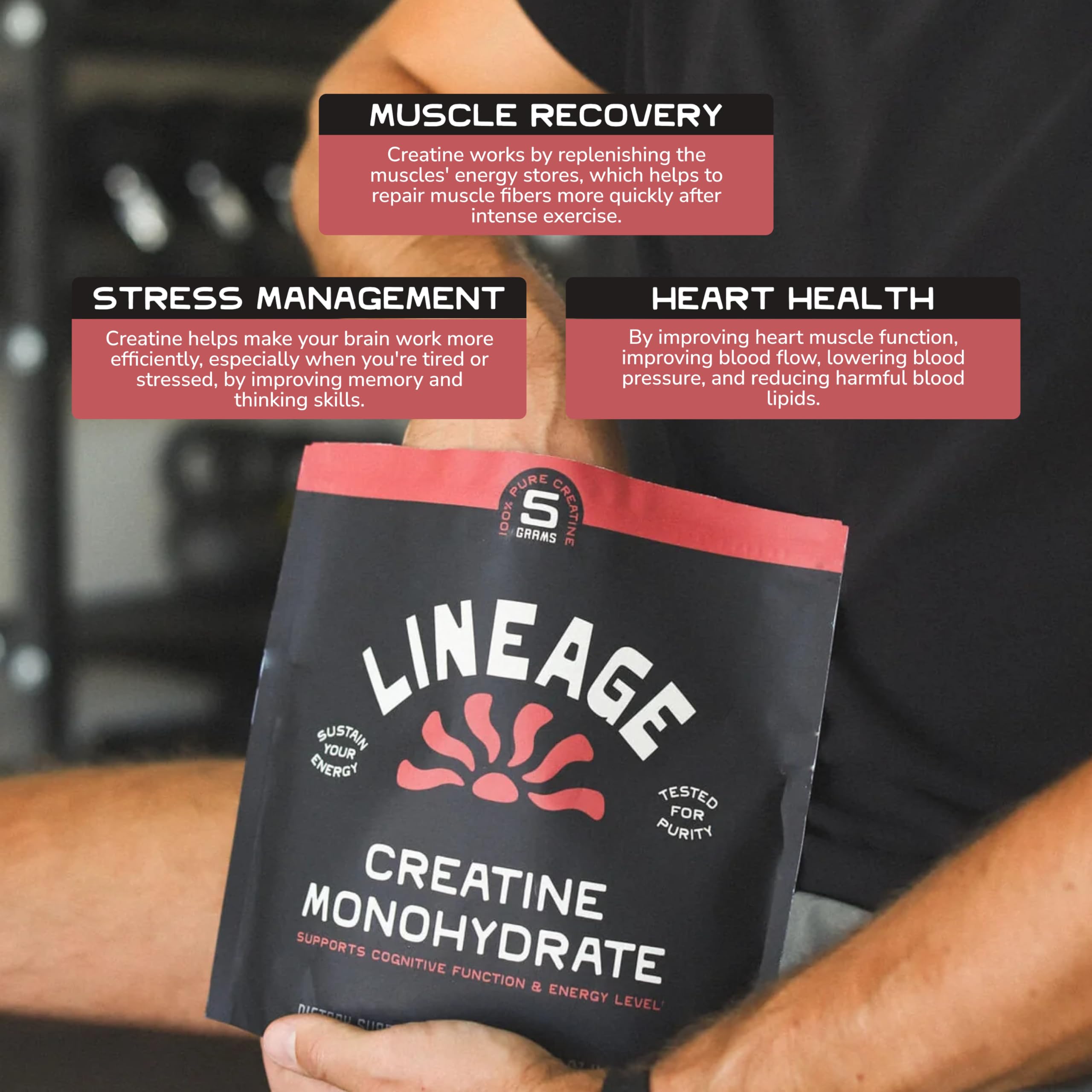 Lineage Provisions purity badge highlights third-party tested creatine for peace of mind.
