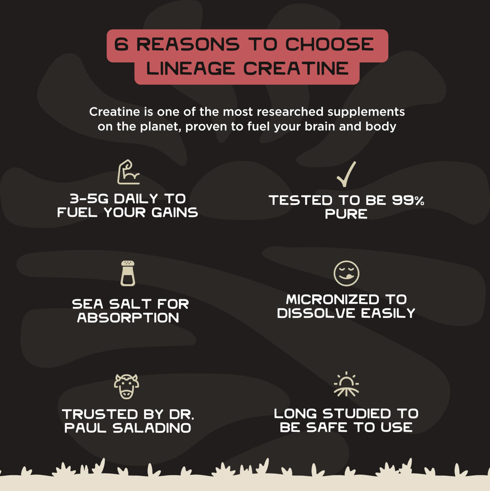 Lineage Provisions sea-salt hydration image suggests improved mixability and hydration during sessions.