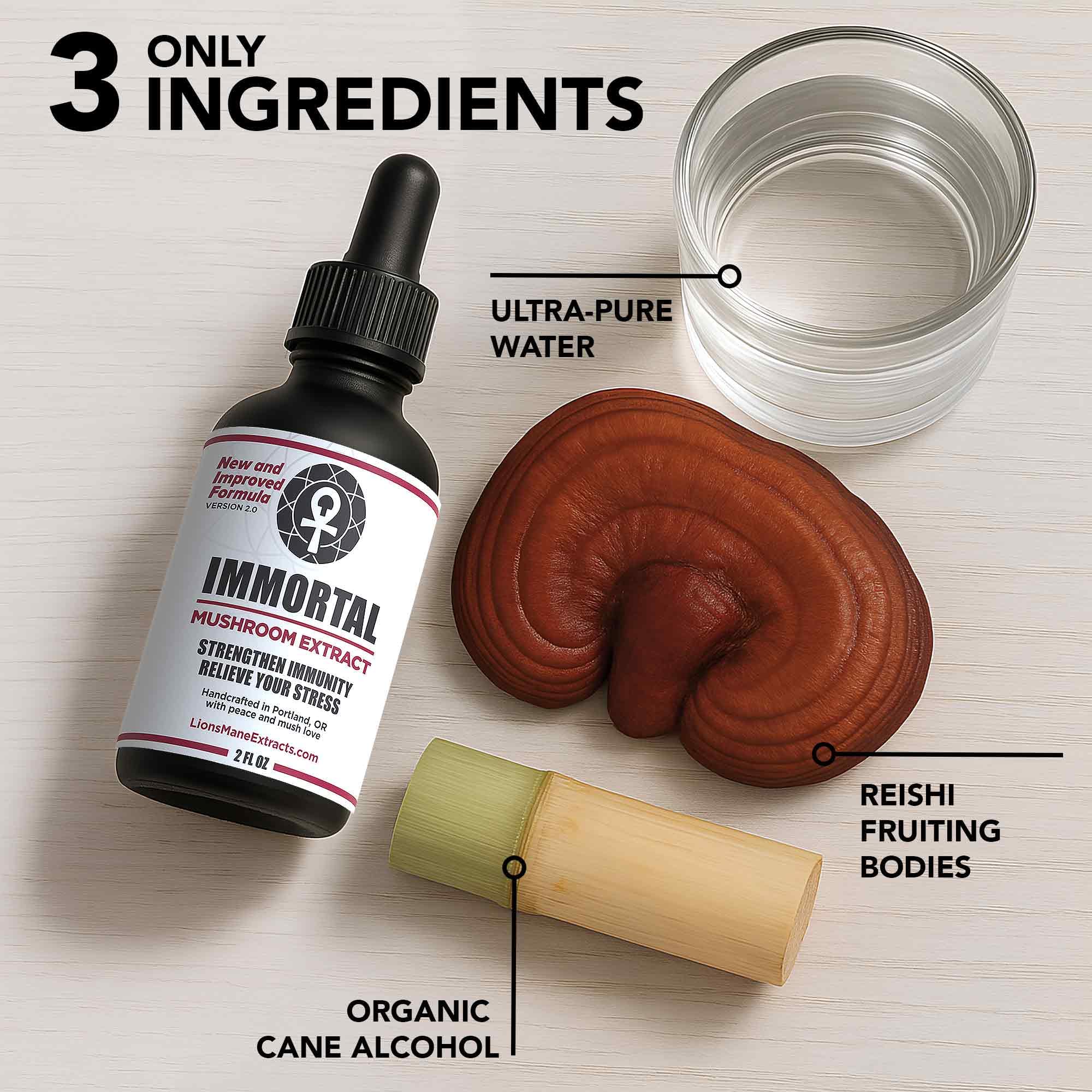 LionsManeExtracts Reishi tincture in glass bottle setup on clean surface