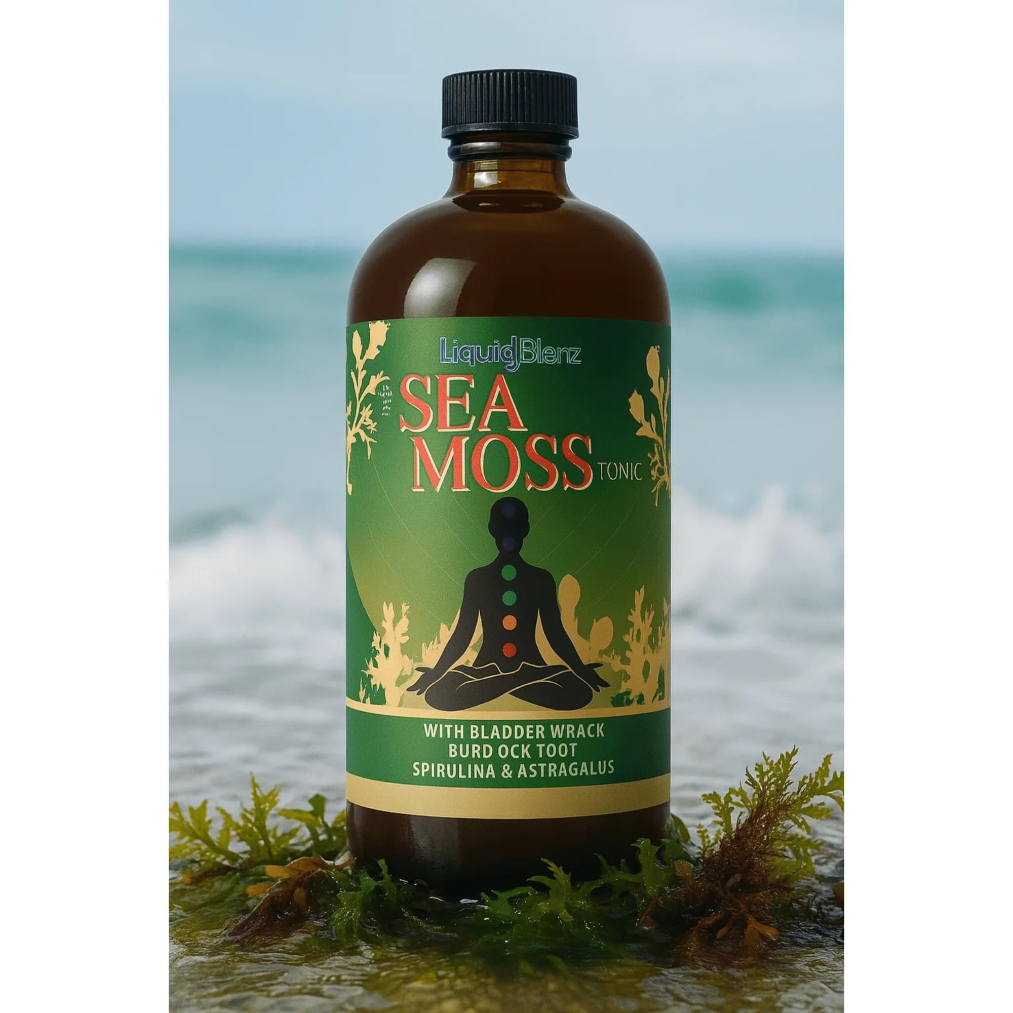 LIQUID BLENZ Sea Moss Tonic ingredients illustration highlighting plant-based nutrients