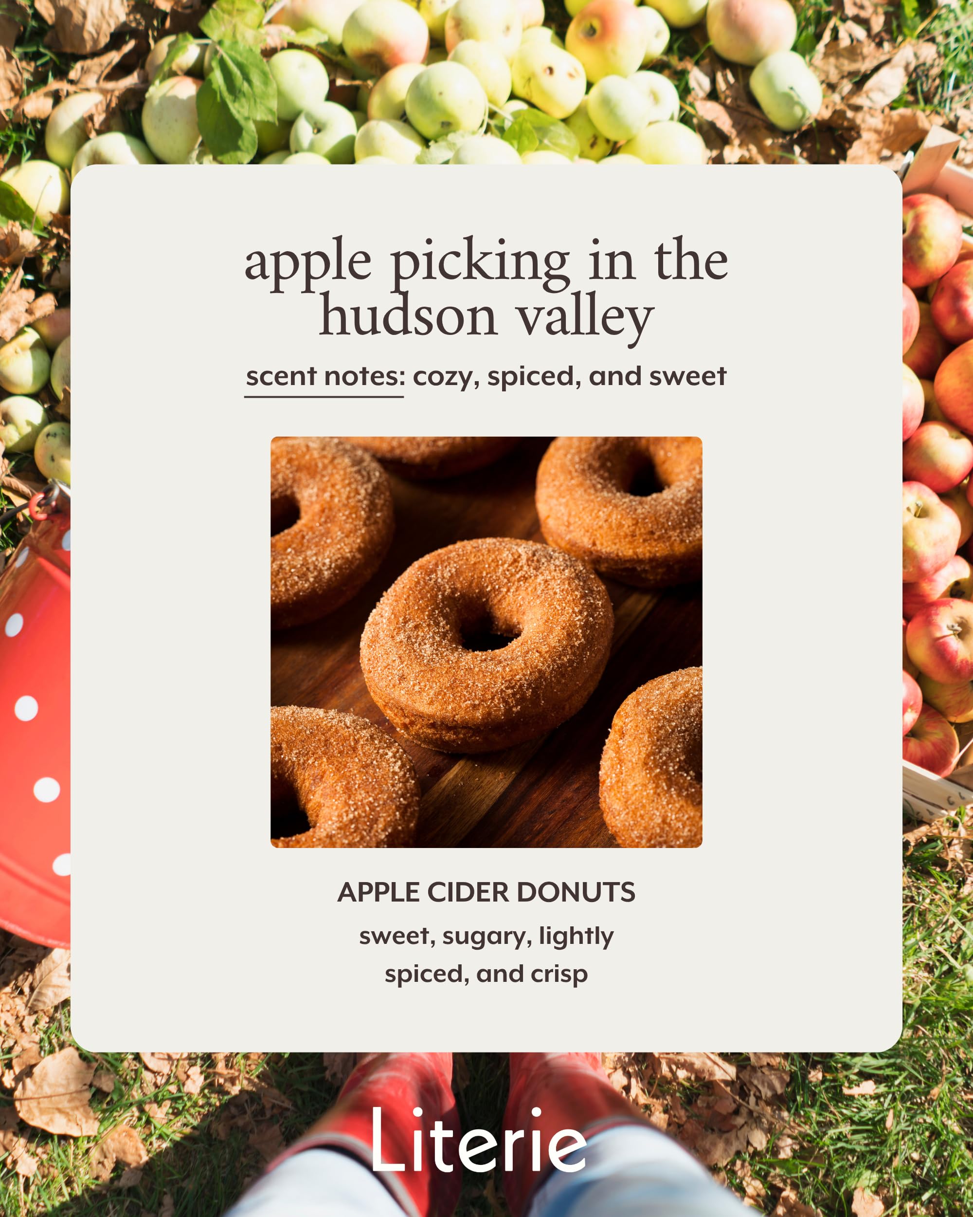 Apple cider donuts fragrance from Literie creates warm bakery notes.