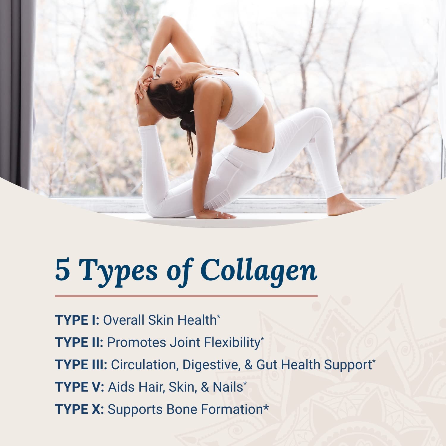 Live Conscious Beyond Collagen powder tub back with ingredients and sourcing notes