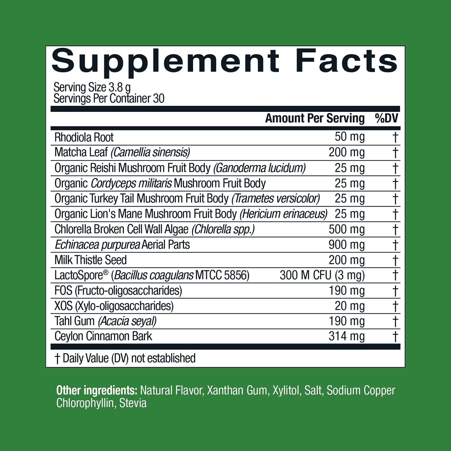 Live Conscious Beyond Greens chlorella closeup highlights vibrant greens.
