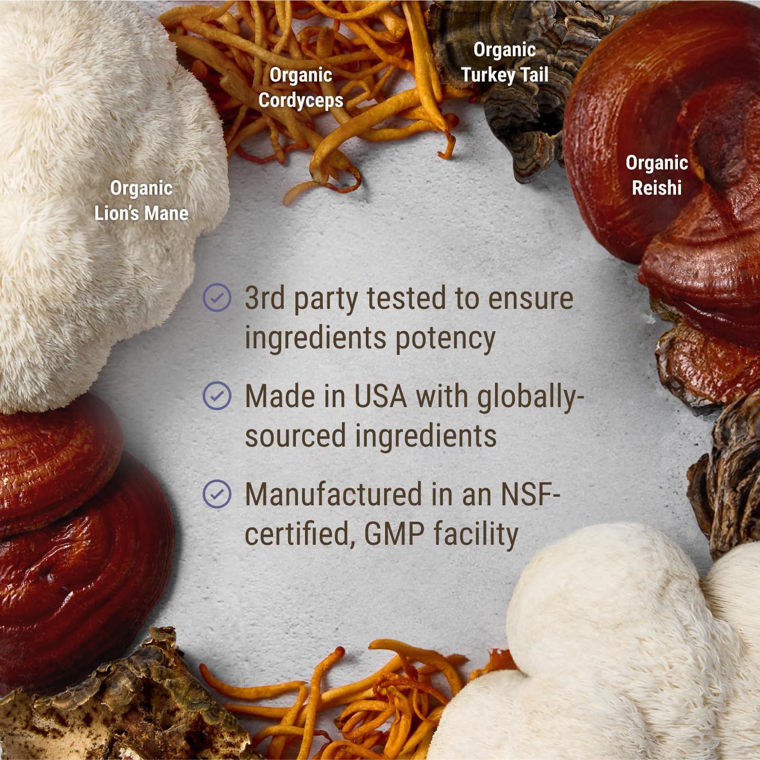 Live Conscious adaptogen blend with cordyceps and reishi promotes holistic wellness