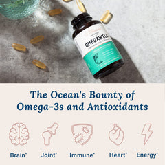 Close-up of burpless OmegaWell softgels designed for easy swallowing