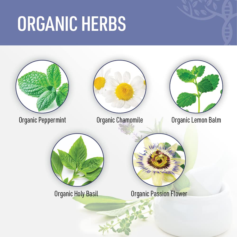 Liver Medic Zen Sleep lemon balm leaf with citrus notes