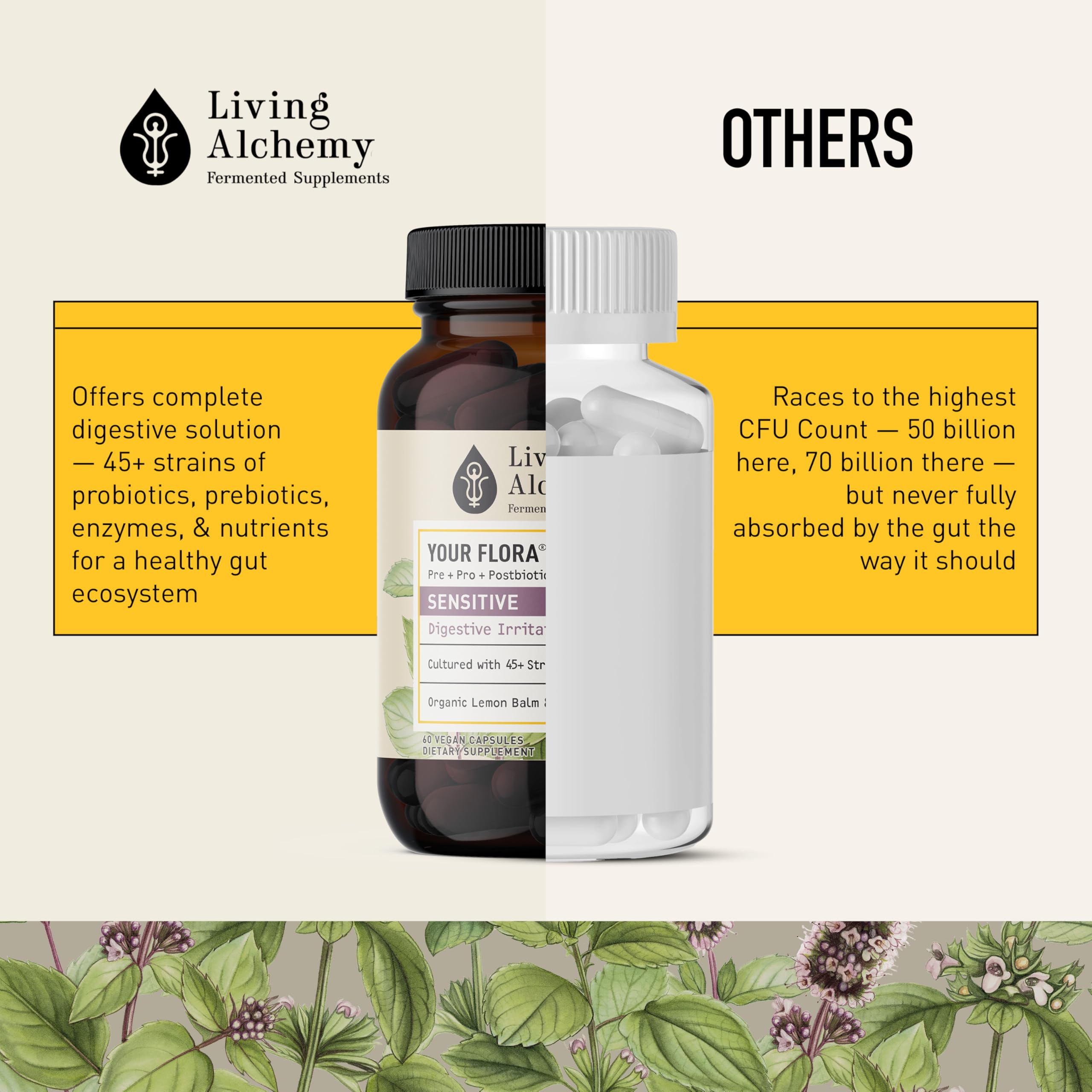 Living Alchemy 45-plus probiotic strains image signals diverse digestive support options