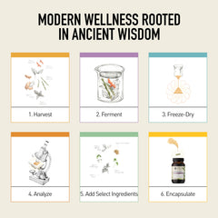 Living Alchemy Your Flora Probiotic Sensitive product line image reflects gentle, holistic gut care