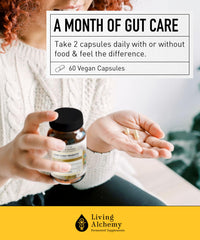 Living Alchemy prebiotics and postbiotics illustrate holistic gut wellness support.