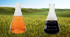 ZeoHeal bottle close-up label emphasizes purity and earth-derived minerals