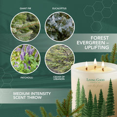Living Good Candle Co Into the Forest cedarwood patchouli note adds grounding warmth