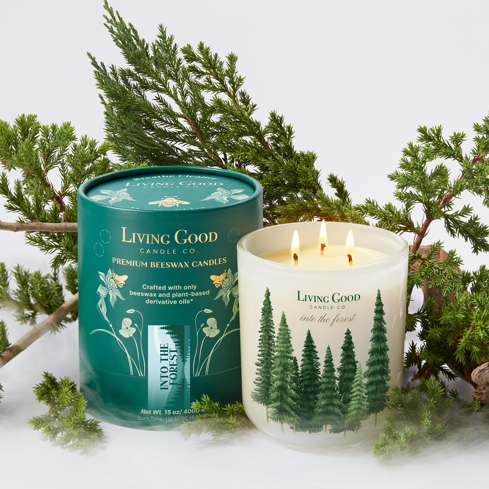 Living Good Candle Co Into the Forest jar closeup with pine and eucalyptus aroma