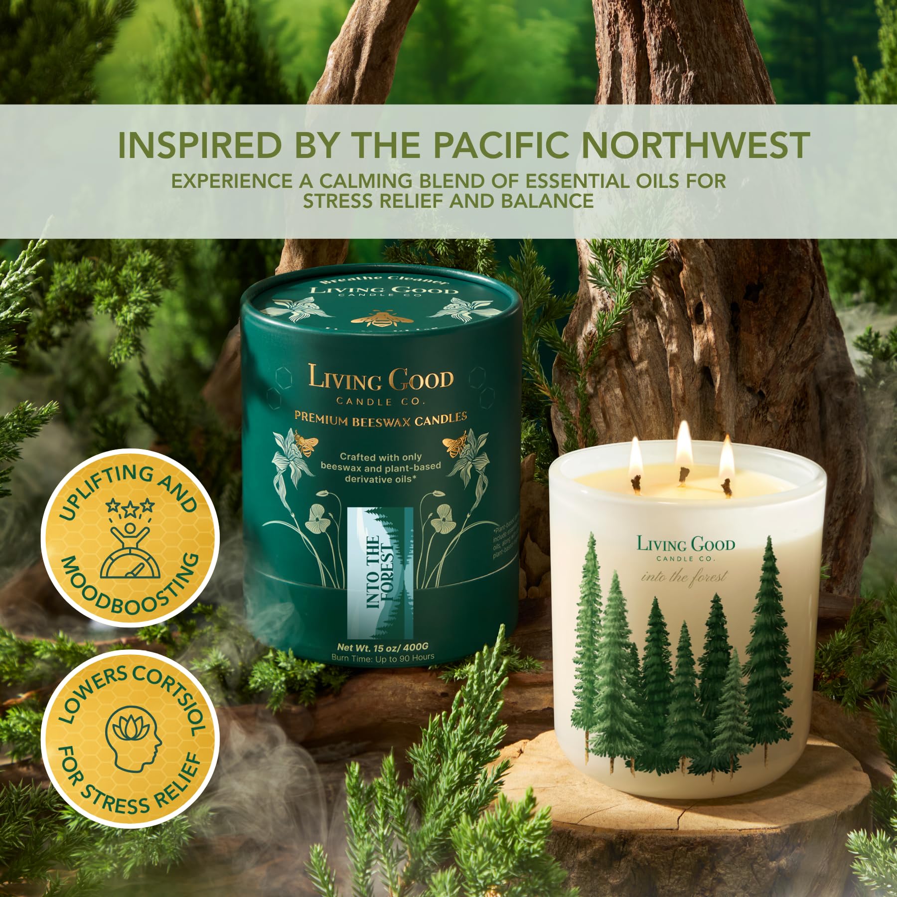 Living Good Candle Co Into the Forest pine-eucalyptus scent filling a room