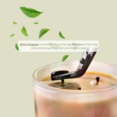 Living Good Claricomb reusable jar hints at eco friendly refills