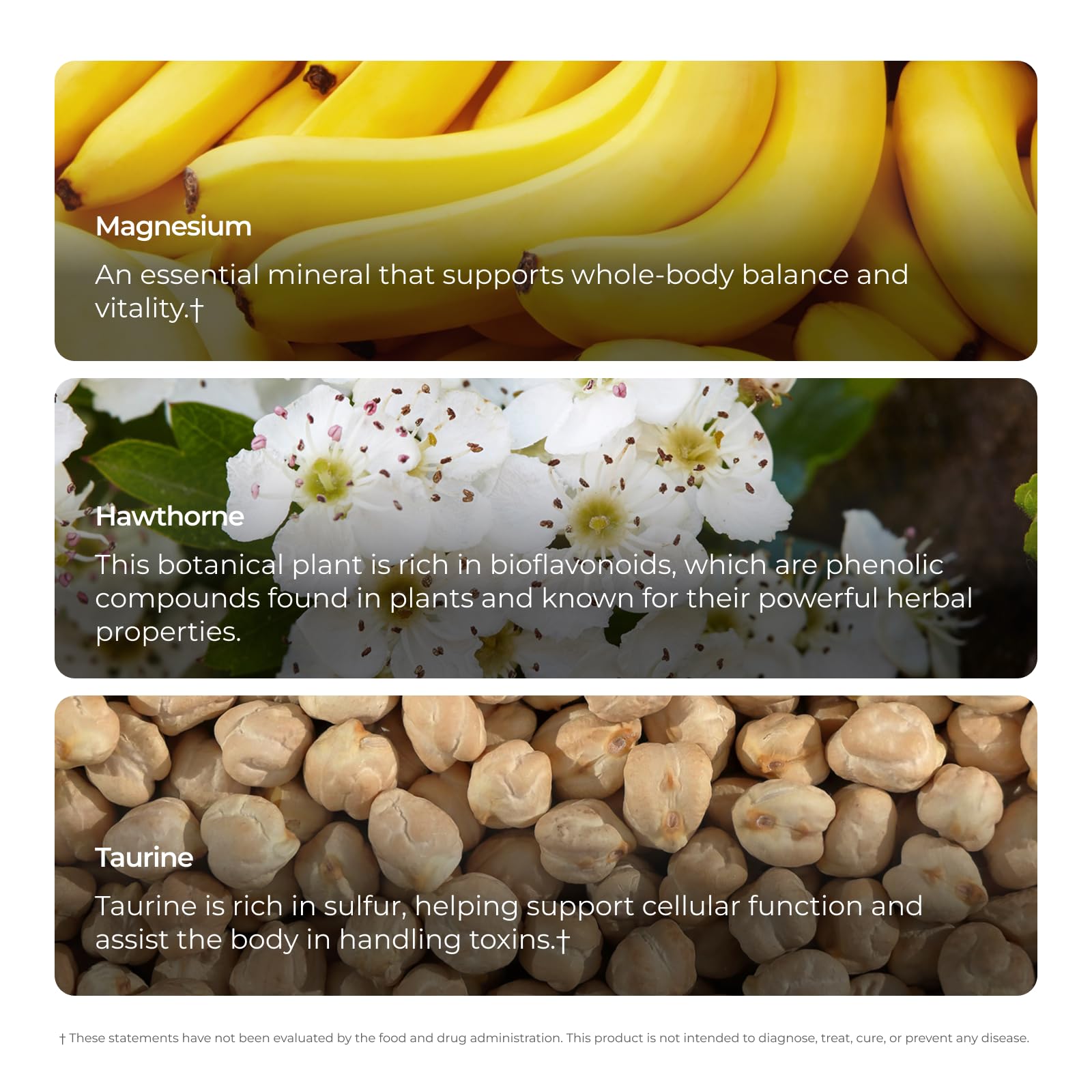 Morning routine with Livingood Daily Blood Pressure Support for daily circulation support.