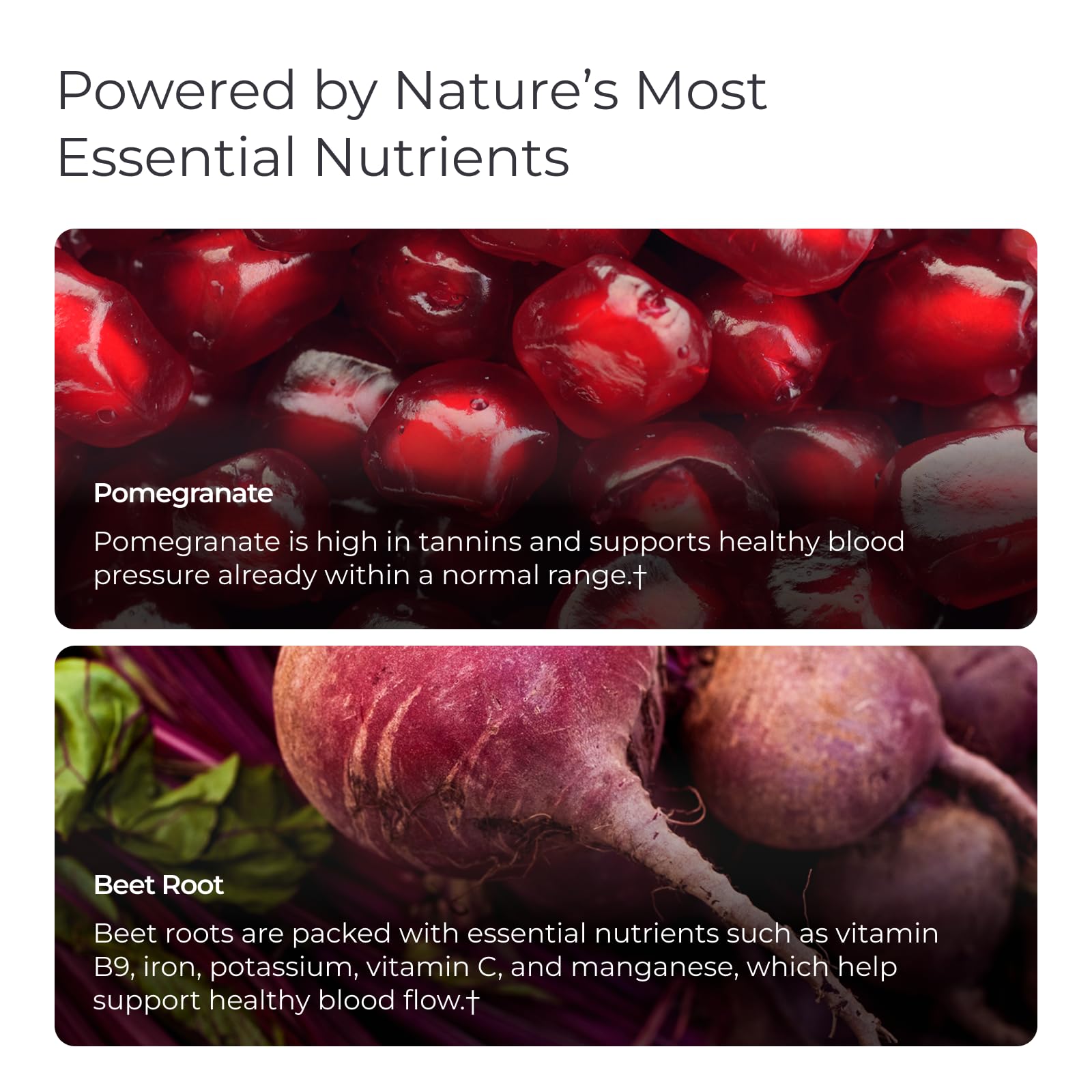 Livingood Daily Blood Pressure Support label front shows vegan, gluten-free capsules.