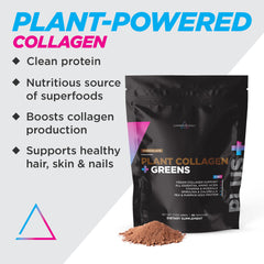 Livingood Daily chocolate collagen powder scoop, easy vegan protein for smoothies.