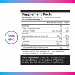 Livingood Daily chocolate collagen powder in shaker bottle for post-workout hydration