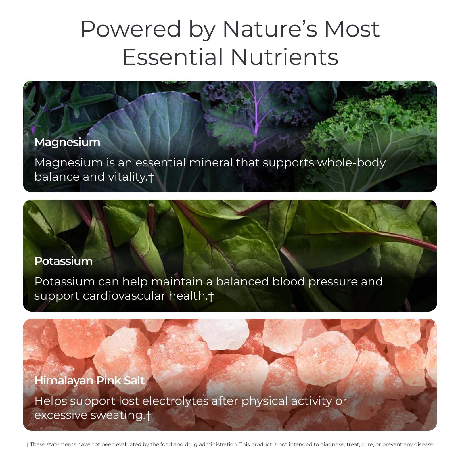 Livingood Daily Electrolytes dissolving in water for easy hydration.