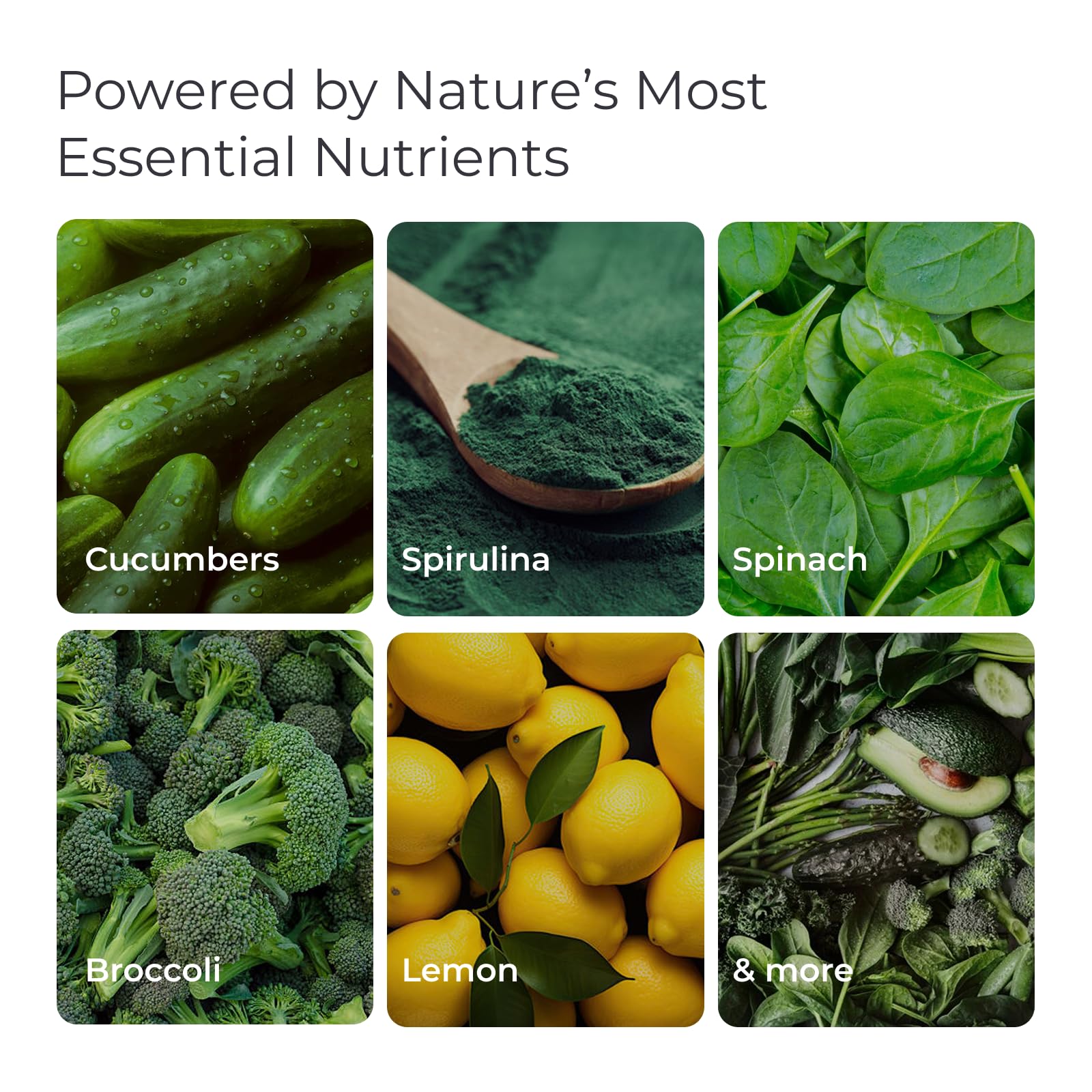 Livingood Daily Greens packaging travel-friendly design suits busy lifestyles