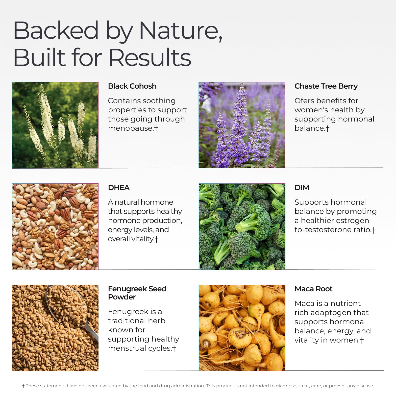Livingood Daily Women’s Hormone Support capsules close-up ready for daily use.