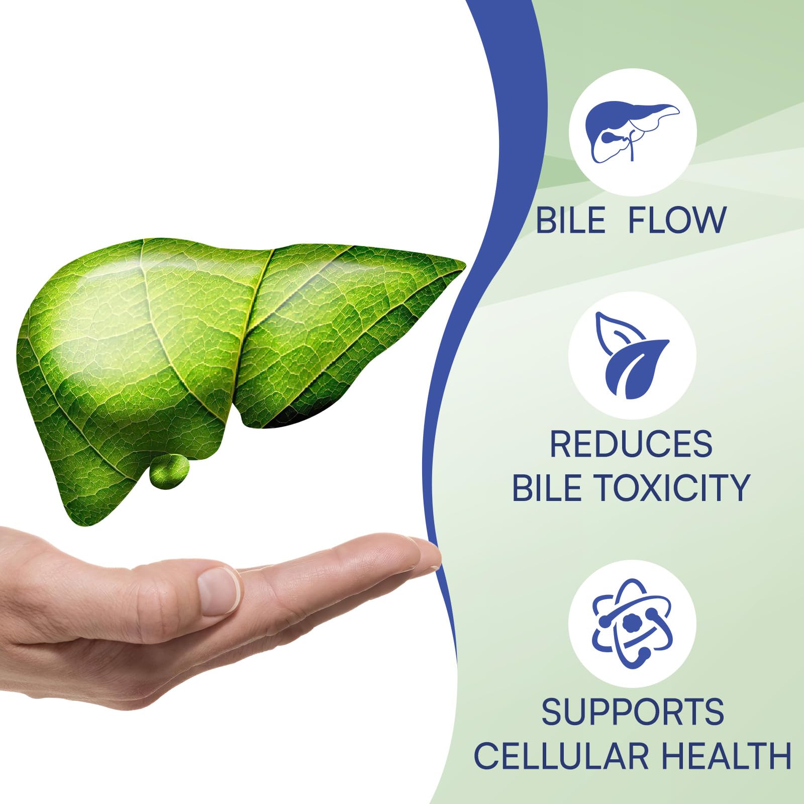 LivLyLuxe Ox Bile Extract aids digestion.