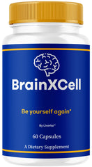 LIVORKA BrainXCell capsules front view for daily brain support