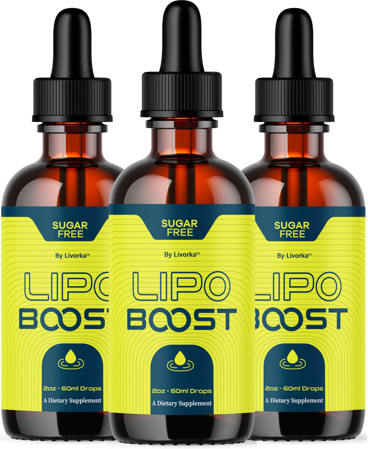 LIVORKA LipoBoost Drops bottle front shows premium liquid formula for daily wellness