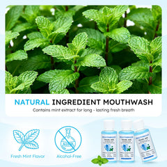 LLHQAMT travel mouthwash with leak-proof seal protects contents during travel.