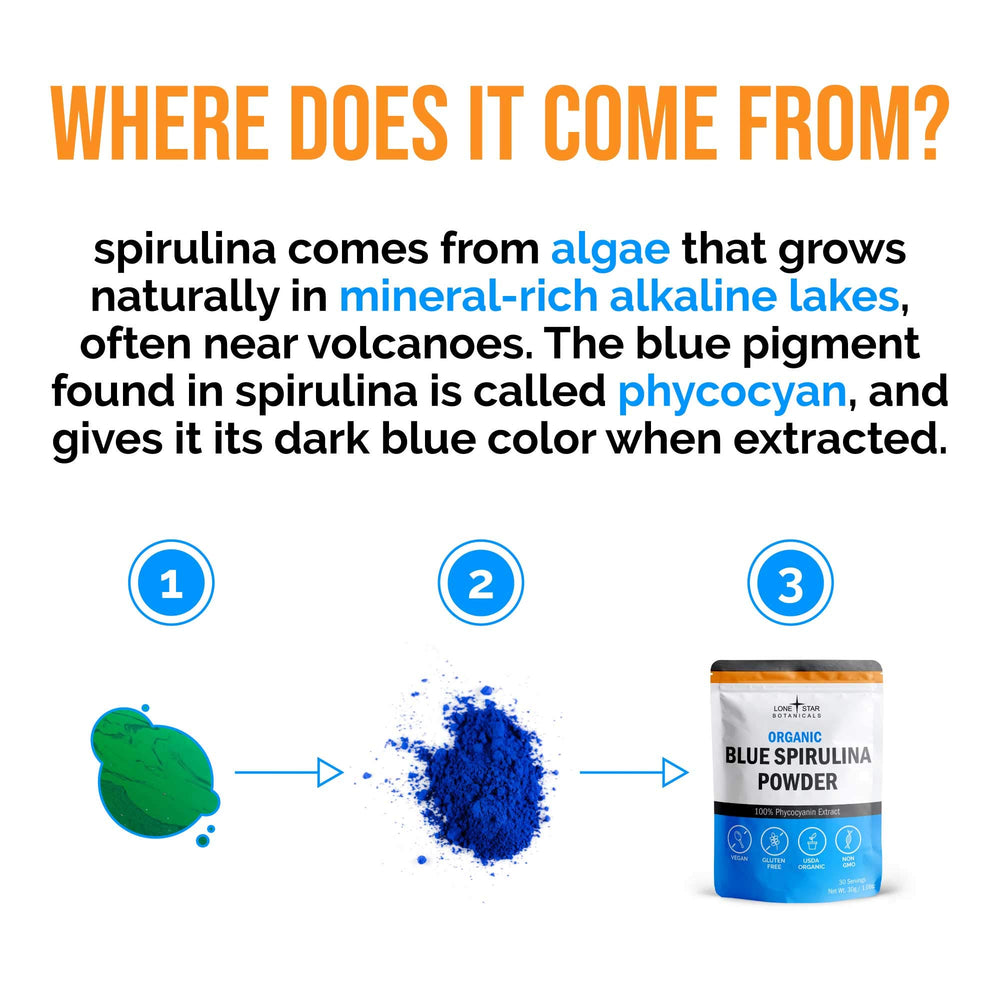 Lone Star Botanicals blue spirulina powder on a ladle for protein drinks