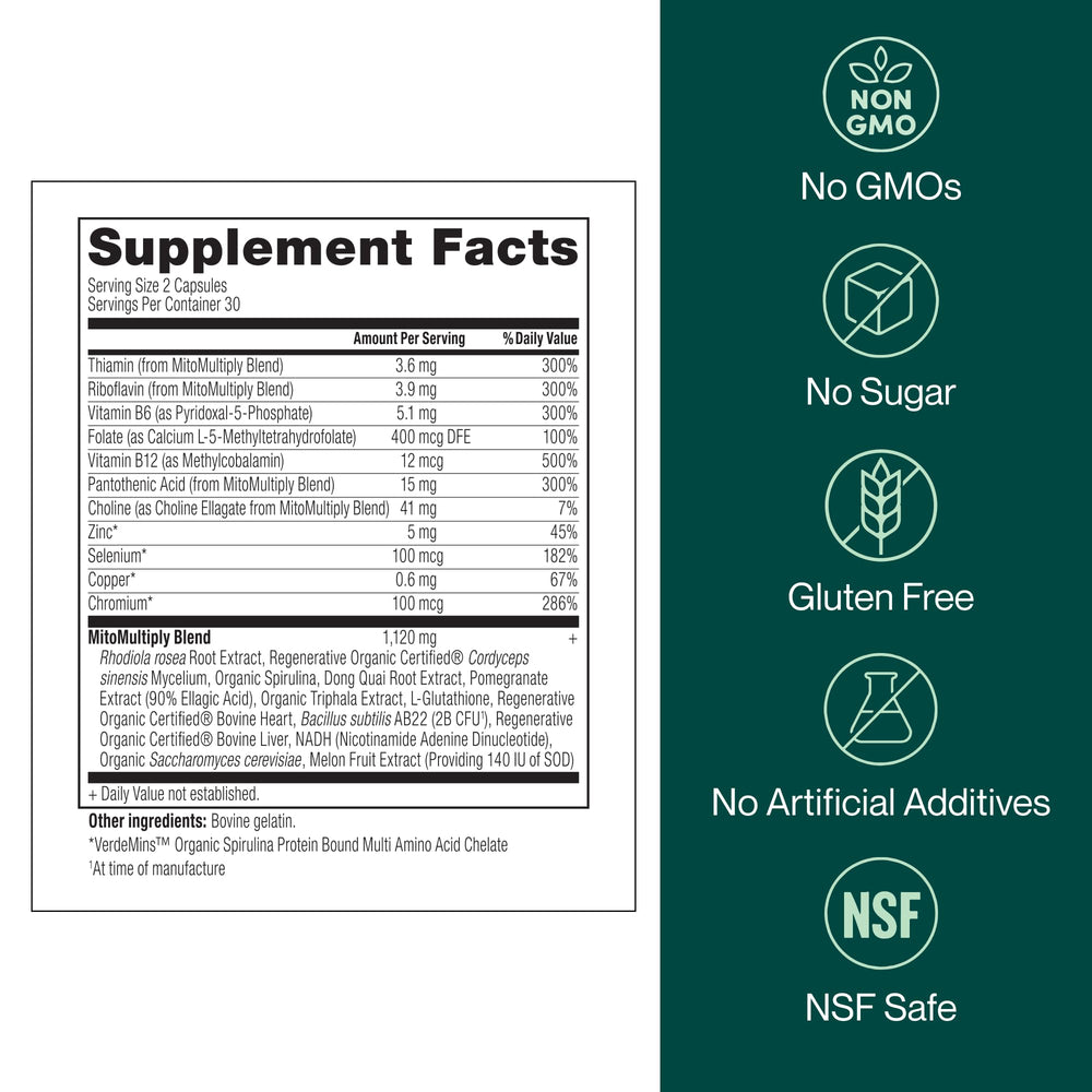 Longevity Rx MitoMultiply NADH emphasis on energy production.